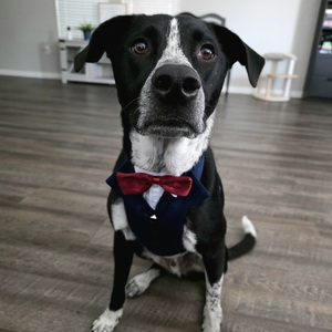 Fundraising Page: Finn - Bobby Eure